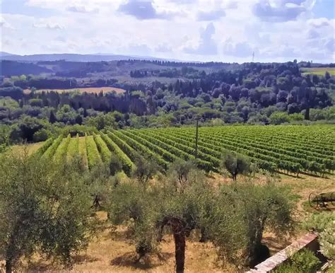 Esperienze uniche in Toscana | Villa San Pancrazio