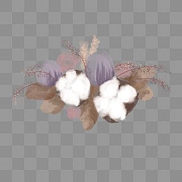 Image result for Dynamo If Python Example