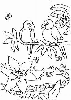 ausmalbilder jungle tiere ausmalbild tiere v 246 gel und eine schlange kostenlos ausdrucken ausmalbilder jungle tiere ausmalbild tiere v 246 gel und eine schlange kostenlos ausdrucken