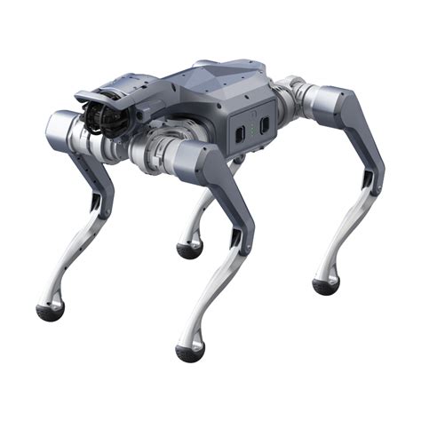 UniTree Robot Transparent 的图像结果