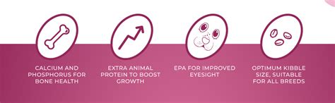 Good Dog Starter Kibble for Growing Puppies | Chicken Flavour Dry Dog ...