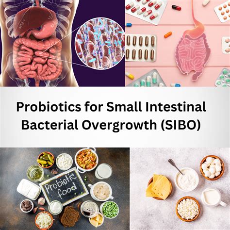 SIBO Small Intestinal Bacterial Overgrowth