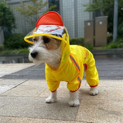 FOFOS PET RAINCOAT (DUCK)