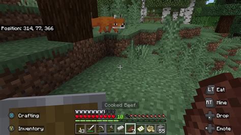 Minecraft Exploring 的图像结果