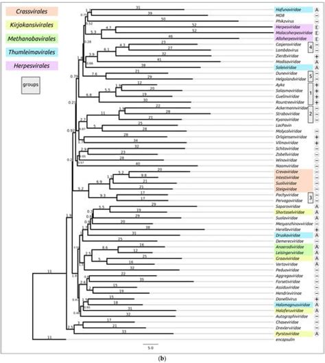 Use of an Integrated Approach Involving AlphaFold Predictions for the ...