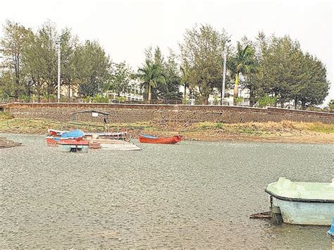 Rain with hail in Saputara, damage to vegetables, onions and mango ...