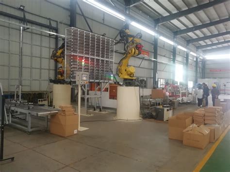 Packaging Robot 的图像结果