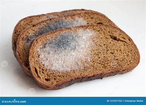Slices of Black Bread, Covered with Mold. Mold on Bread_ Stock Image ...