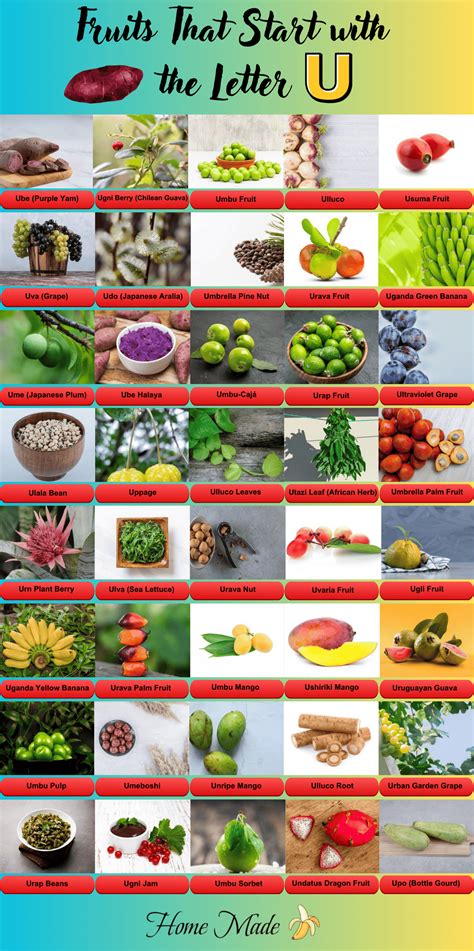Fruit Starting With U