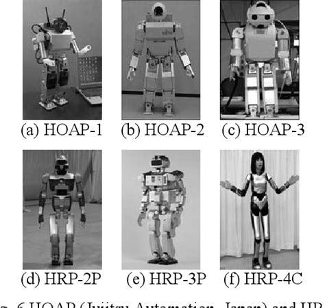 Robot Evolution 的图像结果