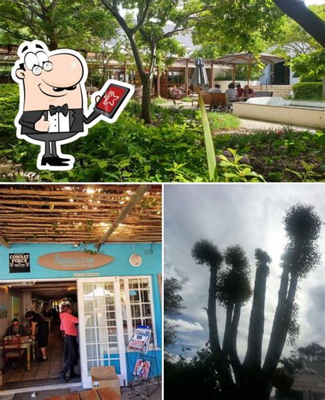 The Local Store Kommetjie Cape Town 的图像结果