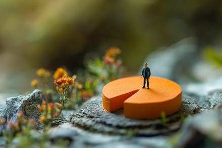 NRI Investment Solutions That Work - Capitalmind