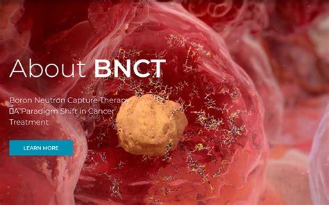 生物医学动画#科学原理动画-C02-硼中子俘获疗法BNCT_哔哩哔哩_bilibili