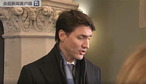 加拿大保守党领袖呼吁特鲁多总理辞职|特鲁多|保守党|加拿大_新浪新闻