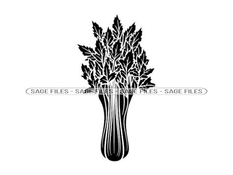 Celery 2 SVG Celery SVG Vegetables Svg Celery Clipart - Etsy India