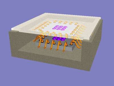 Image Sensor Package 的图像结果