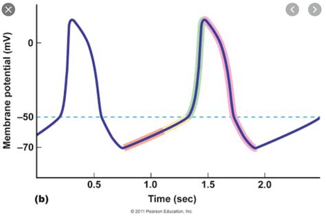 Action Potential Graph 的图像结果