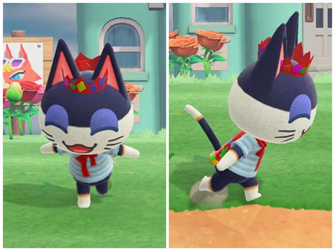 Punchy Animal Crossing