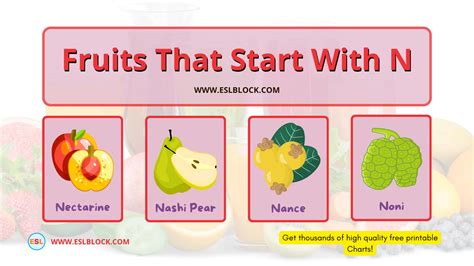 Fruits that start with N - English as a Second Language
