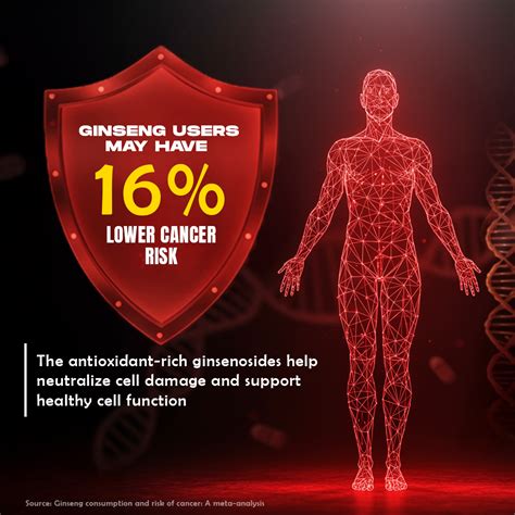 Korean Red Ginseng 400MG with Piper Nigrum Extract 5mg 60N – Beastlife