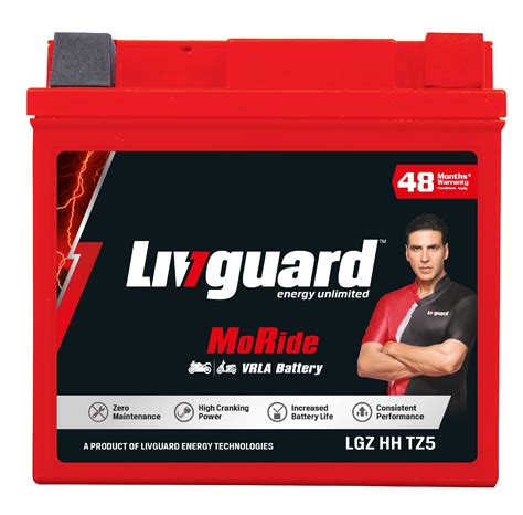 2W battery | 4Ah Capacity | 48 months Warranty