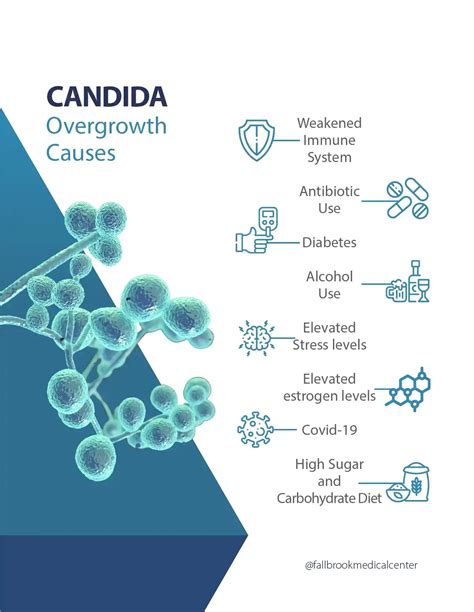 Candida Overgrowth - Causes and Treatment | Fallbrook Medical Center