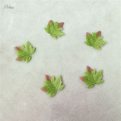 Maple leaves set of 5 – Madras Prop Store