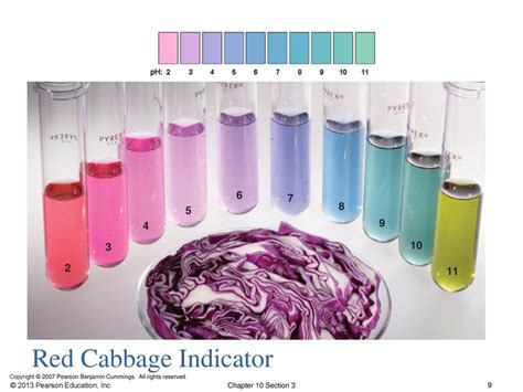Image result for Red Cabbage Indicator Chart