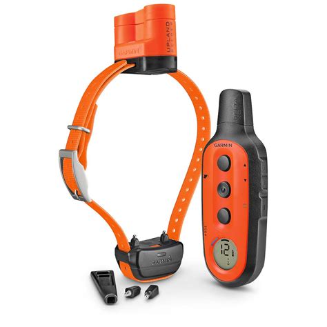 Best Gps Training Collar at Luke Earsman blog