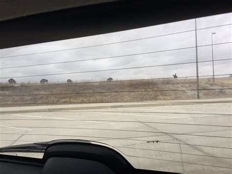 EAGLEVILLE WELCOME CENTER (2026) All You Need to Know BEFORE You Go ...