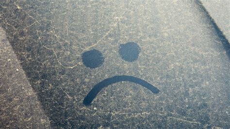 Atlanta Pollen Count Blows Away A 35-Year Record | Weather.com