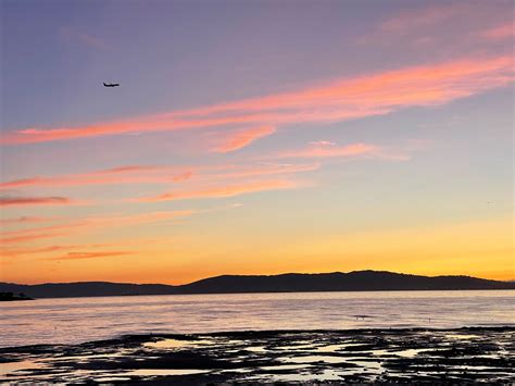 Apple 12 Pro Max Camera 的图像结果