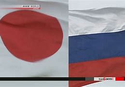 Japan's additional sanctions on Russia 的图像结果