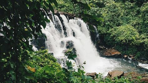 Bangalore to Chikmagalur Road Trip | The Serai Chikmagalur