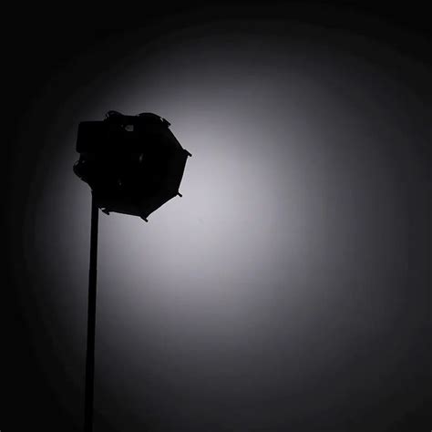 Image result for Octagonal Softbox