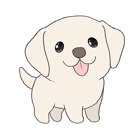 How to Draw a Realistic Labrador 的图像结果