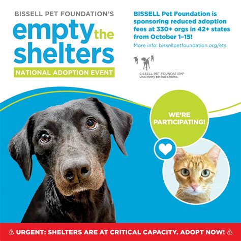 Animal Shelter - Vermilion County