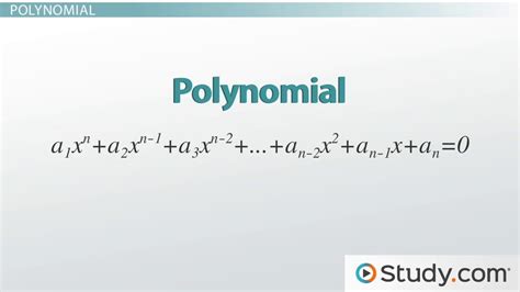 Polynomial Equation