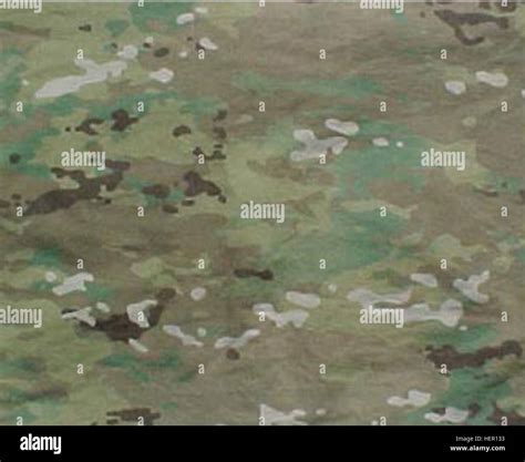 Scorpion W2, Operational Camouflage Pattern (OCP) swatch Stock Photo ...