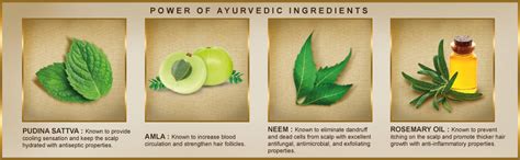 Buy Indulekha Anti Dandruff Shampoo 340 ml| for Dandruff Control| With ...