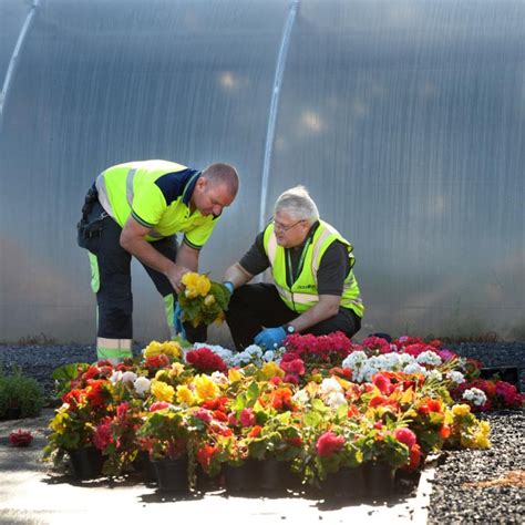 Do bras set off the scanners? The secret life of Dublin Airport – The ...
