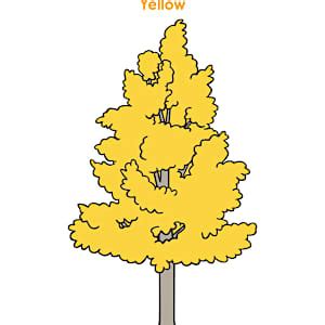 Fall Leaves Worksheet | Fall Season | Twinkl USA