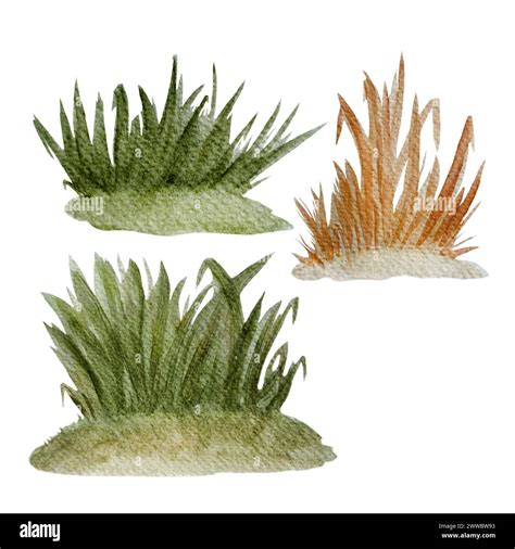 Image result for Watercolor Grass Tutorial