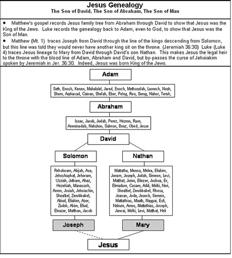 Jesus Family Tree Chart