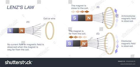 Lenz Law 的图像结果