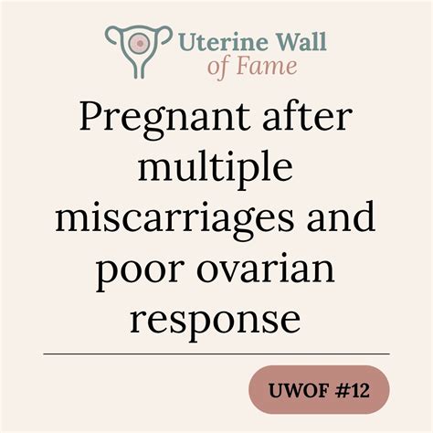 Pregnant after miscarriages and poor response to IVF | UWOF