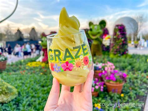 We Paid $32.75 for DOLE Whip in EPCOT…Was It Worth It? | the disney ...