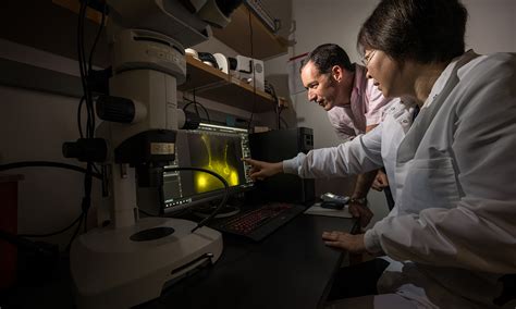 Image result for Brain Microchips