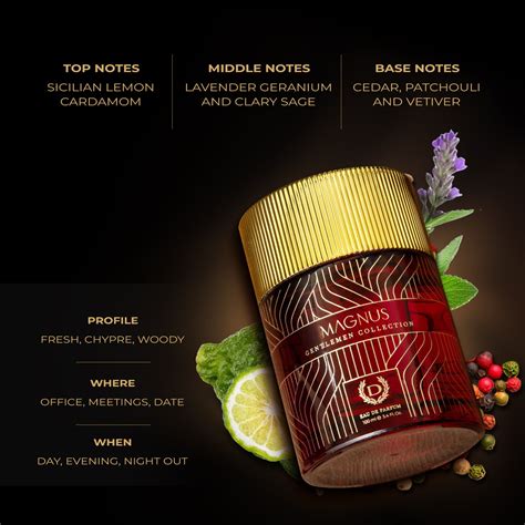 Gentlemen Magnus Perfume 100ml – Denverformen