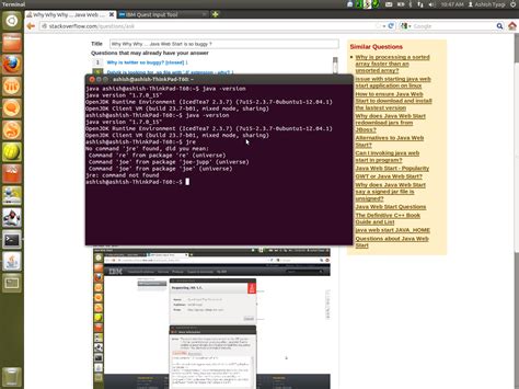 Java Web Start 的图像结果